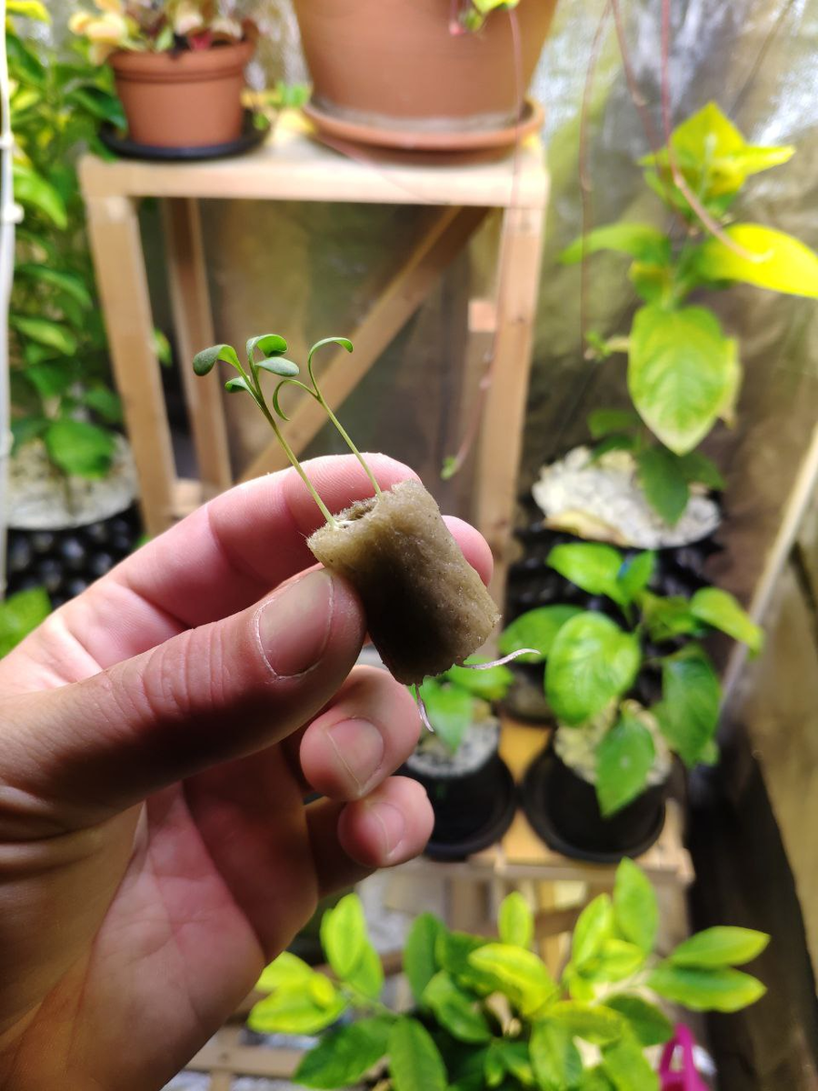 Расточки в пробке мин.ваты