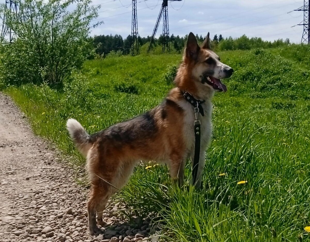 Где ты, мой человек?!!!!