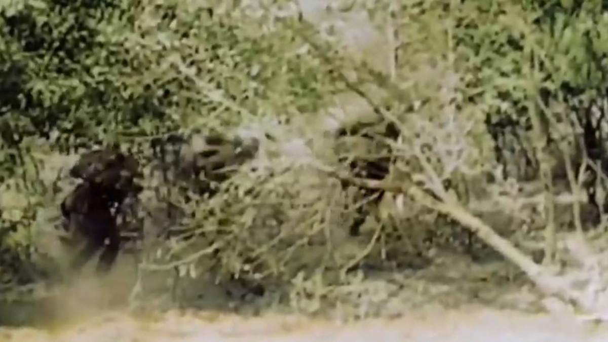    "Те, кто...": история 5