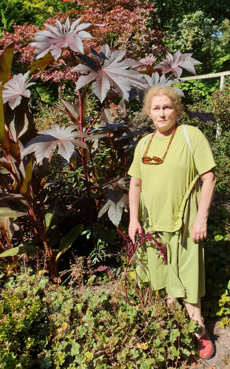 Один из элементов сада: красный сад. Всего их 4: красный, жёлтый, зелёный и белый.