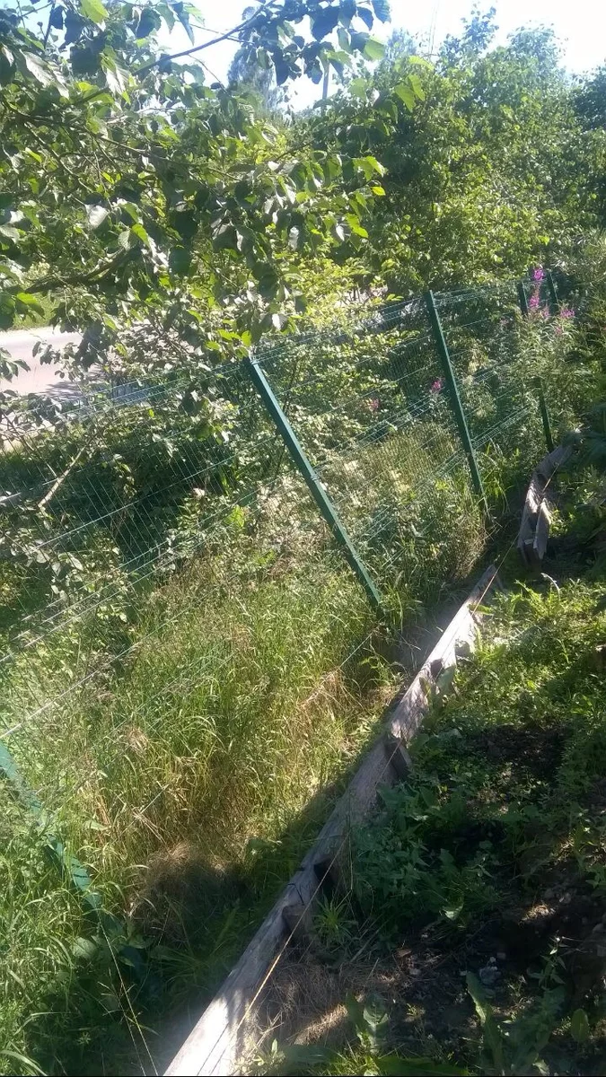 Забутовал столб - обрек себя на переделку забора через пару лет ...