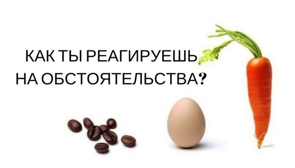 фото взято с яндекс.картинки 