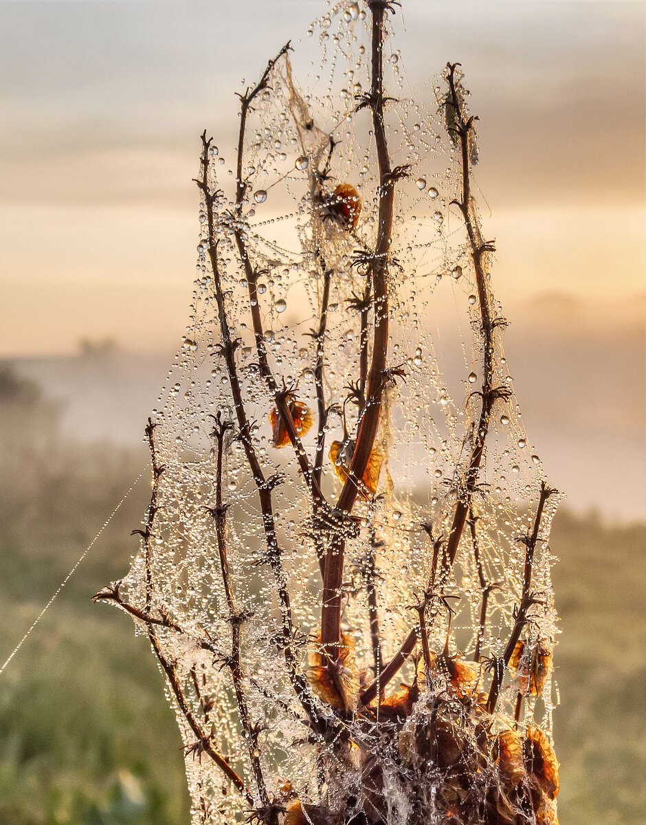 Солнечный рассвет на реке Миасс. (г. Миасс. Машгородок) | Природа ...
