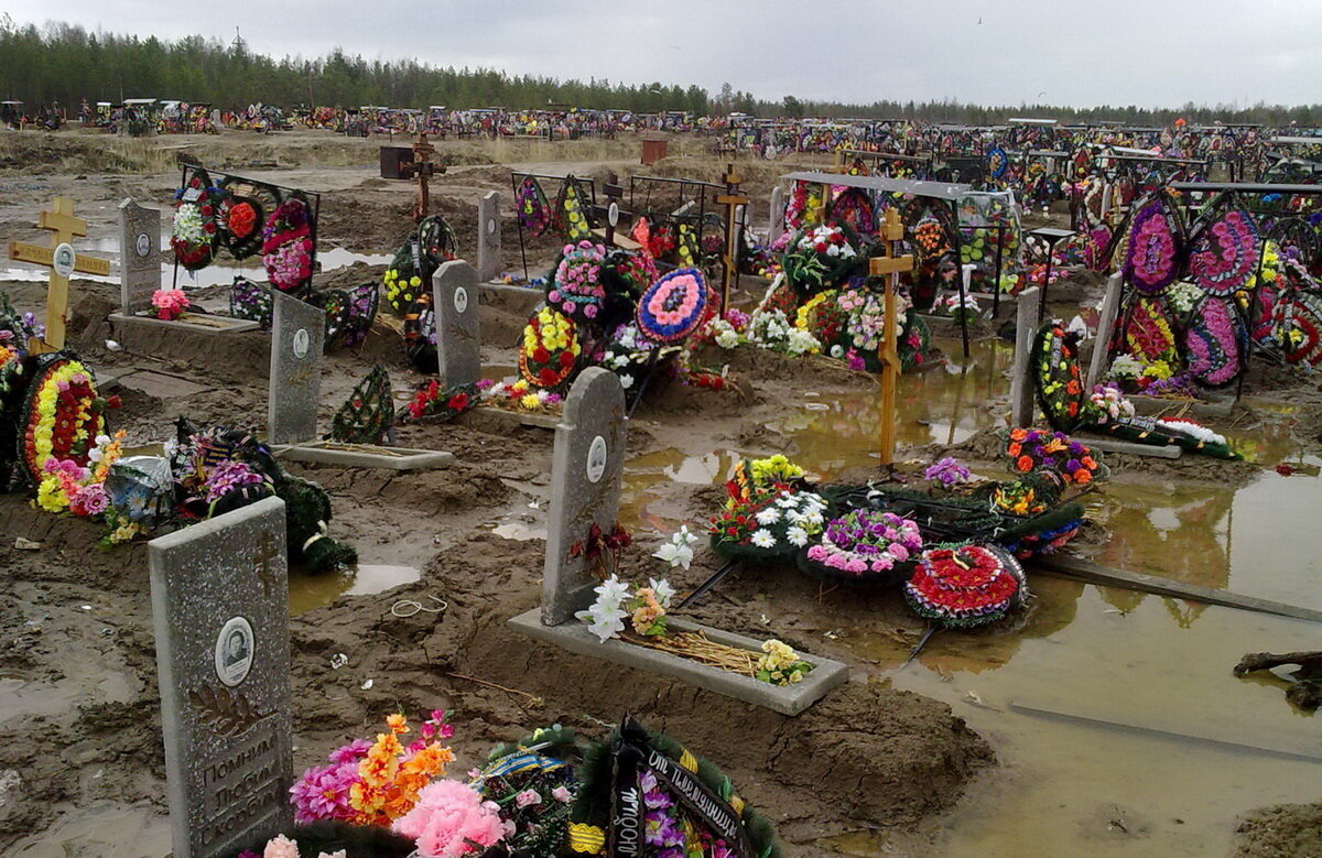 Фото из открытых источников.