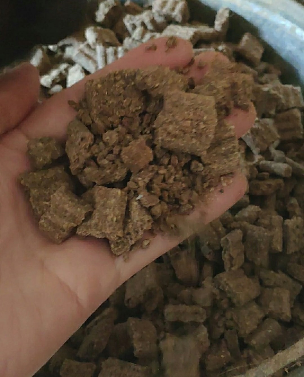 Это корм для собак «Барс»