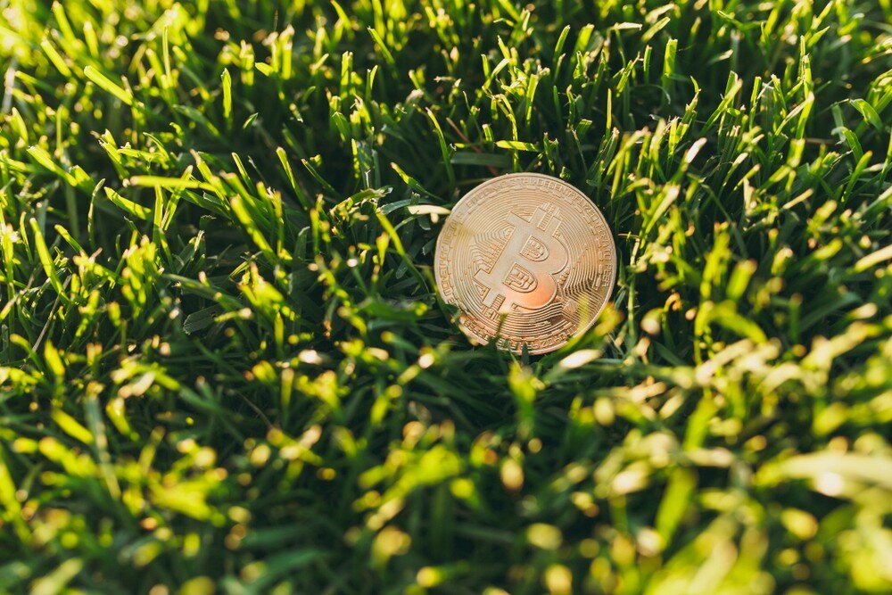 Это лето - шанс для входа