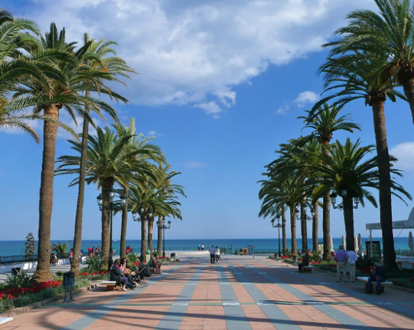 Добавьте описание