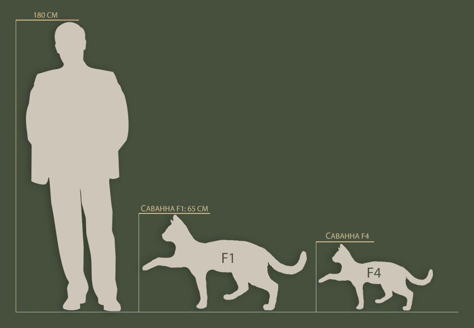 Соотношение классов породы по ра 