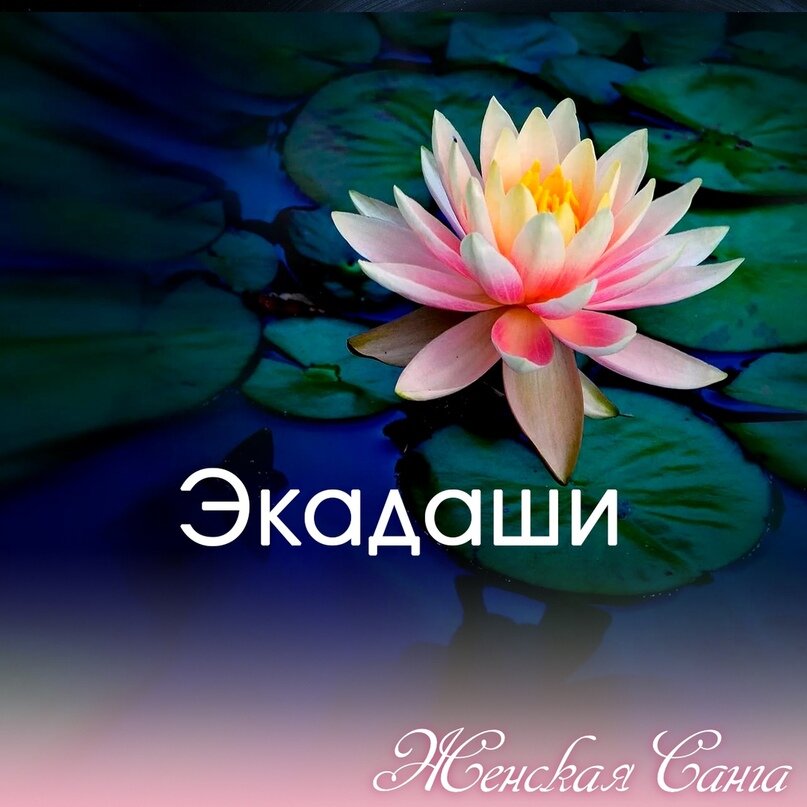 фото из открытого источника