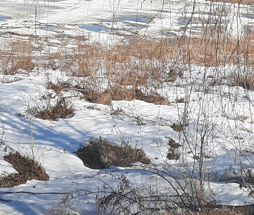 Весна на севере.