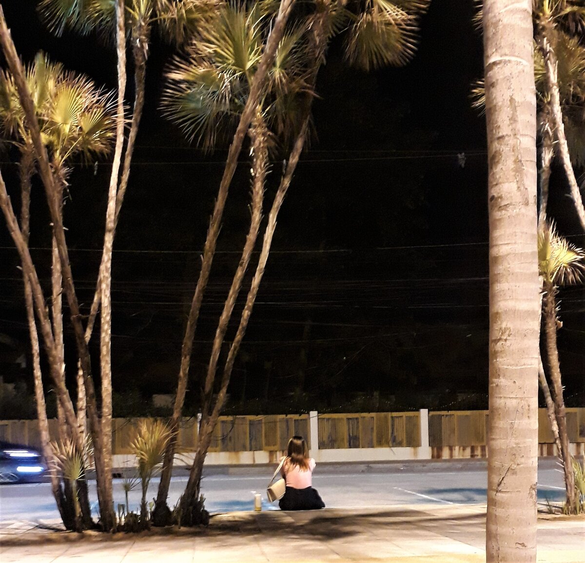 Есть еще сидящие у дороги в определенных местах. Но они охотятся только на мужиков с тачками, к пешеходам равнодушны. Назовем их "машинные". Ну не "плечевые" же.