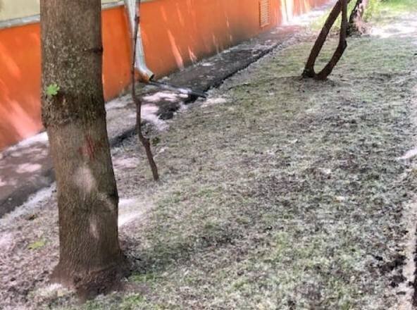 Результат работы ГБУ "Жилищник района Марьина Роща". Фото: Facebook / Светлана Смирнова