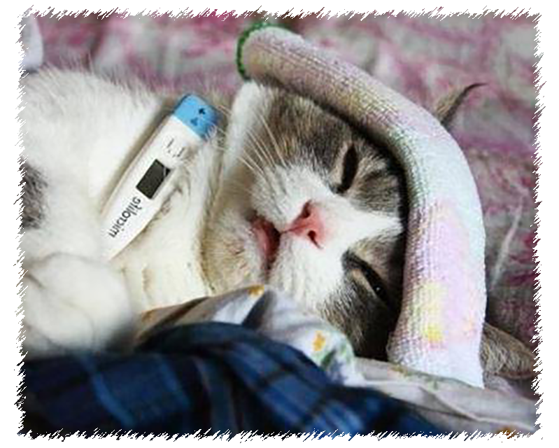 источник: Кирилл Кот