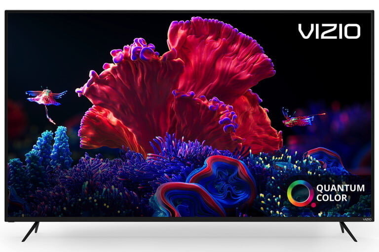 Vizio