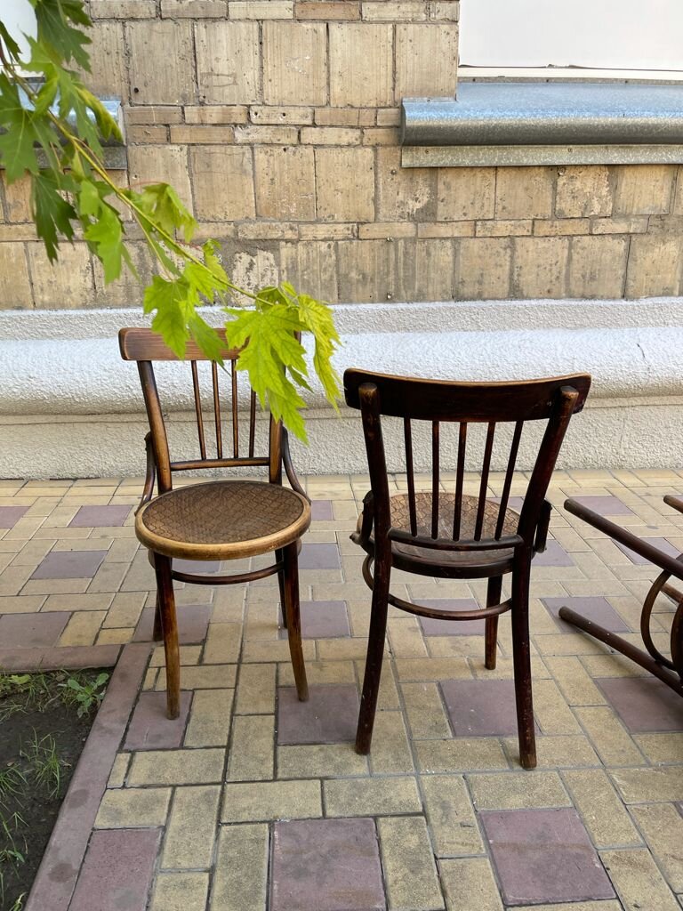 Венские стулья с тиснением