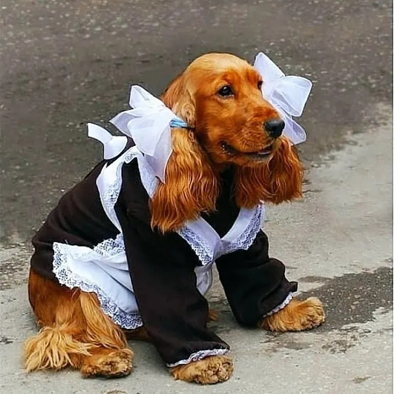 С праздником! (фото из интернета)