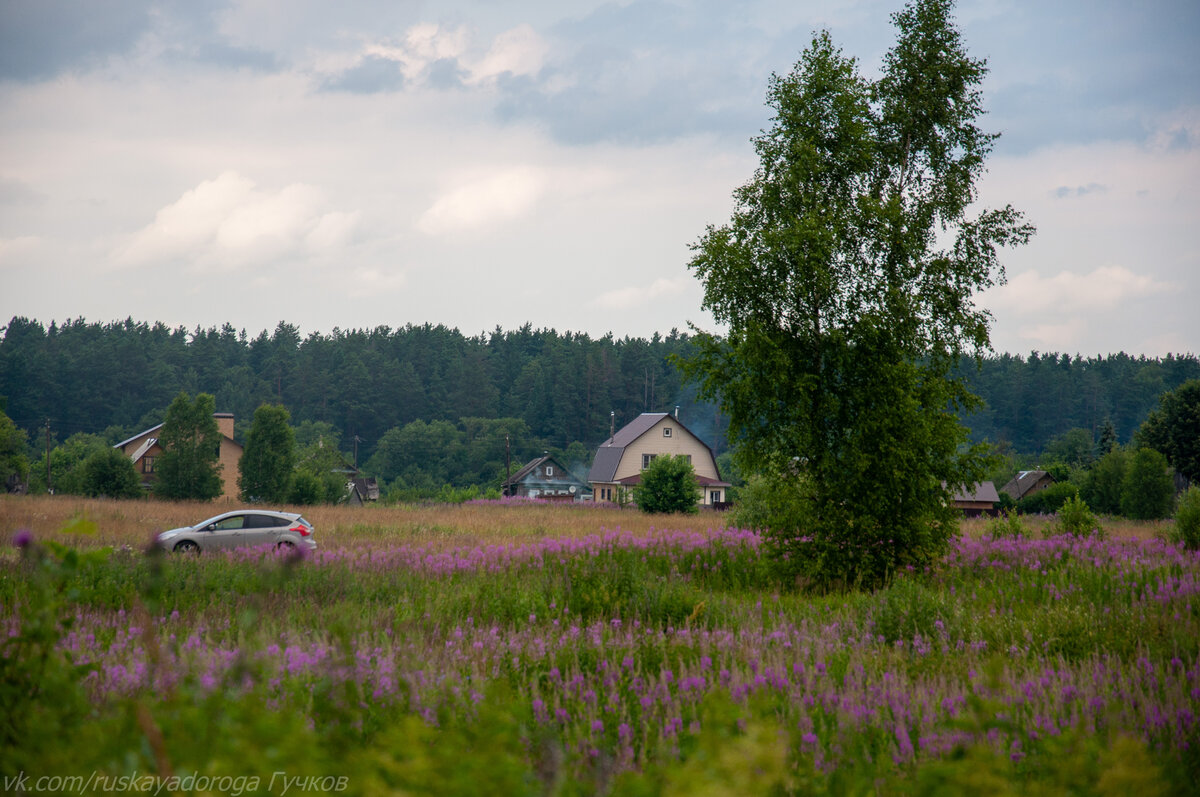  цветущий иван-чай на фоне моего "боевого коня"