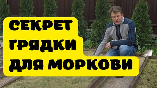 как подготовить грядку для посадки моркови