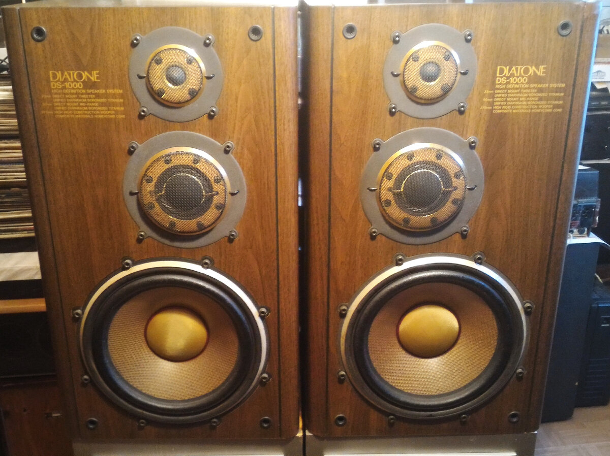 проблемные Diatone DS-1000