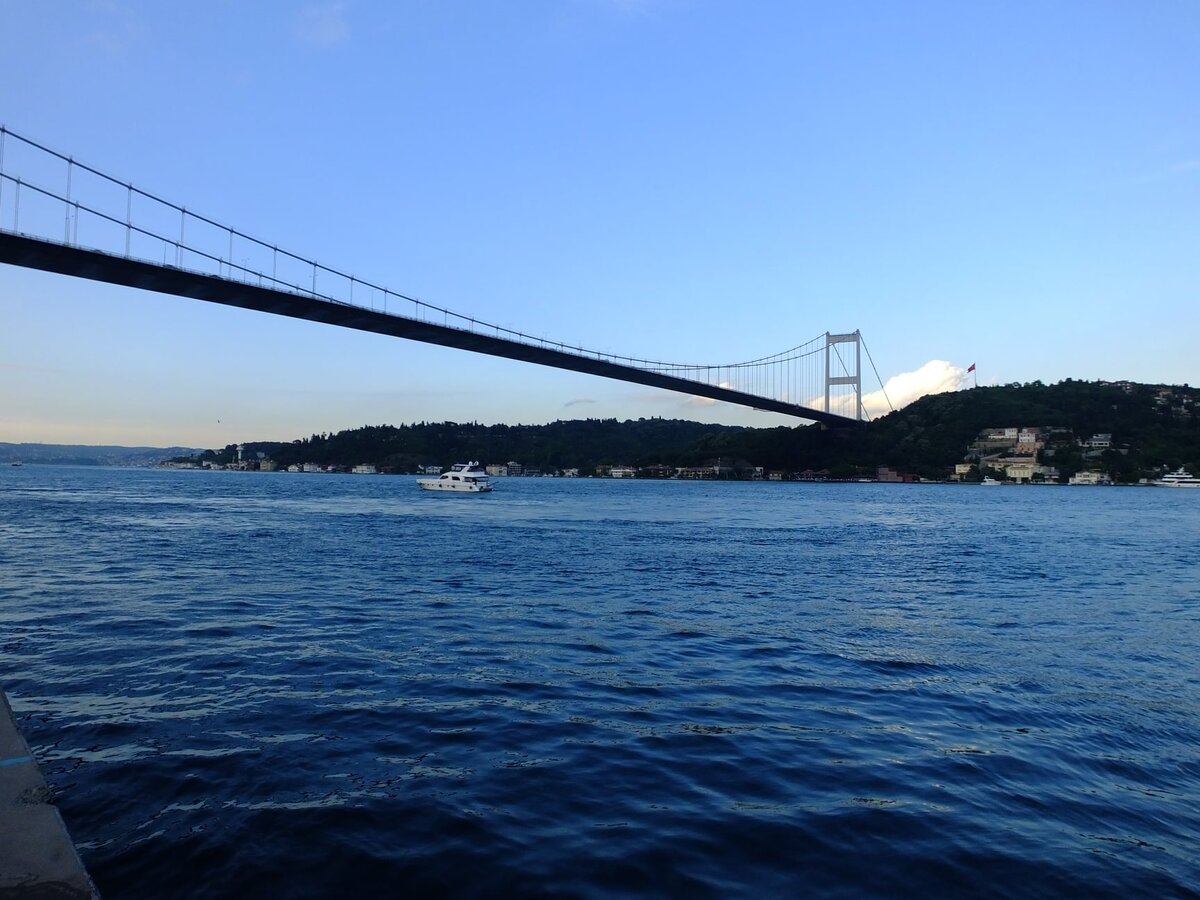 Все фото - Владимир Ефимов