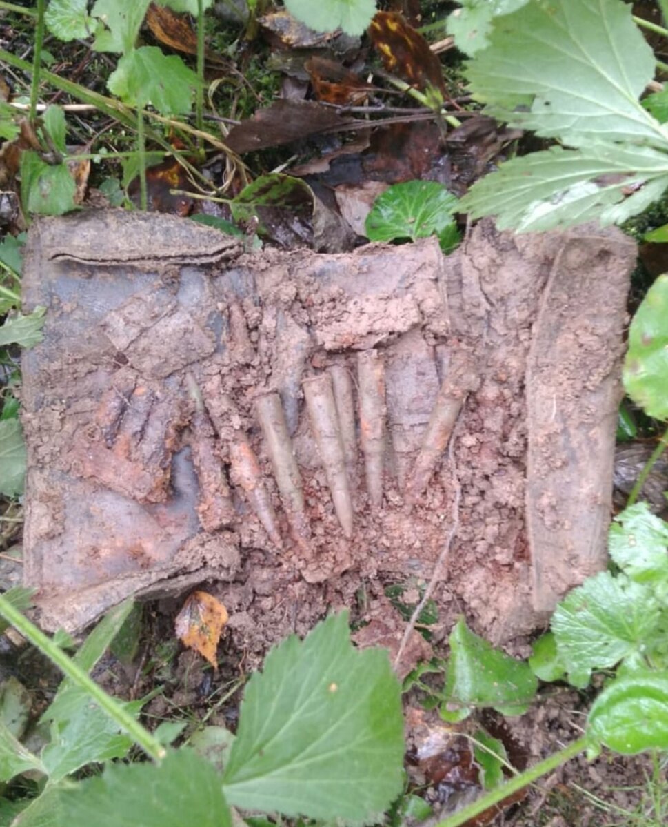 Подсумок с патронами (7,62-мм)