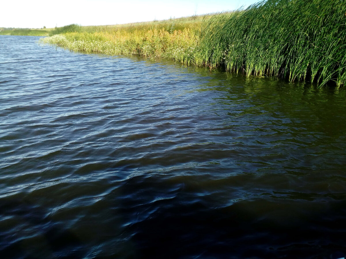 Подпишись на ВЕЧЕРНИЕ СКАЗКИ!!! И лайк поставить не забудь ;)))