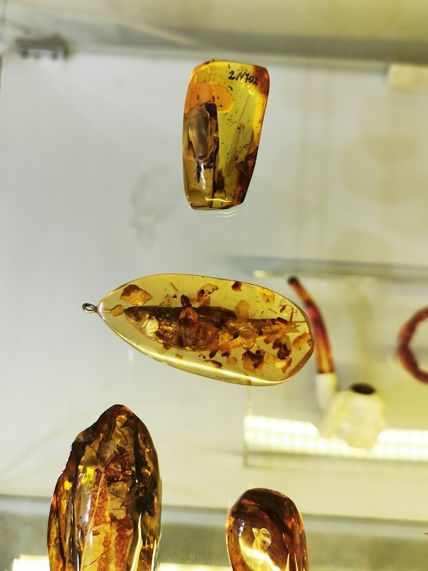 Калининградская область сама как кусочек янтаря. Ее хочется рассмотреть со всех сторон, и самое интересное - внутри