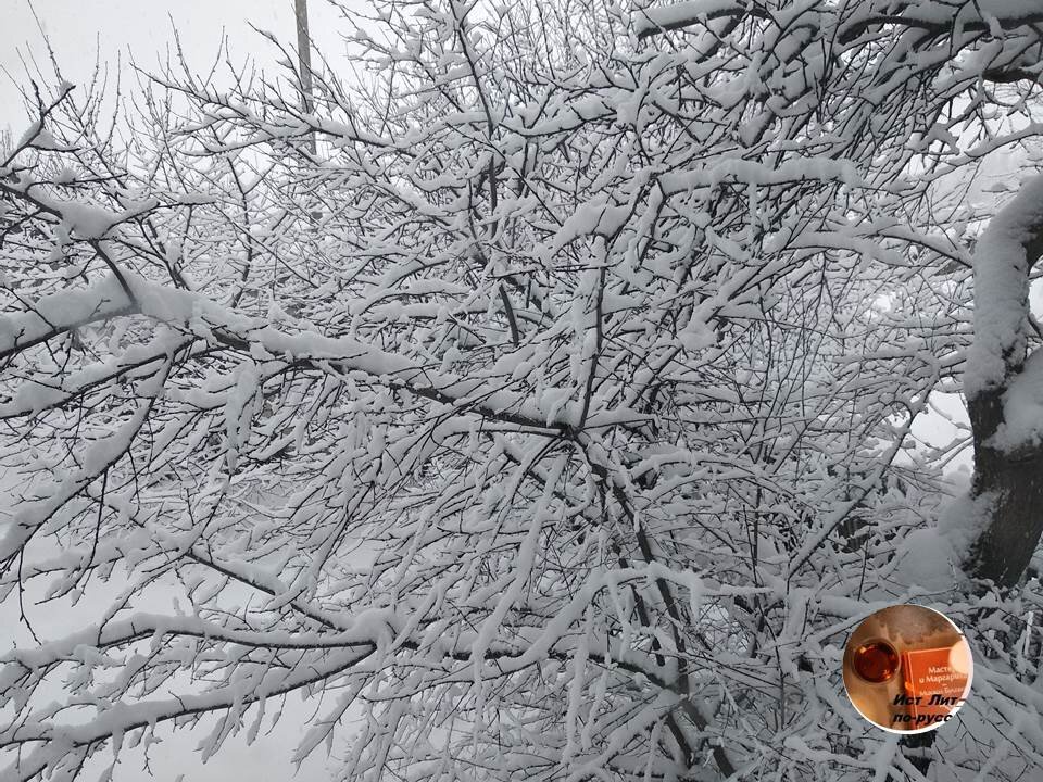 Добрый день!