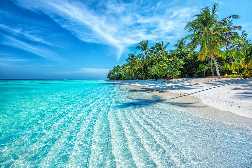 Фото — www.shutterstock.com