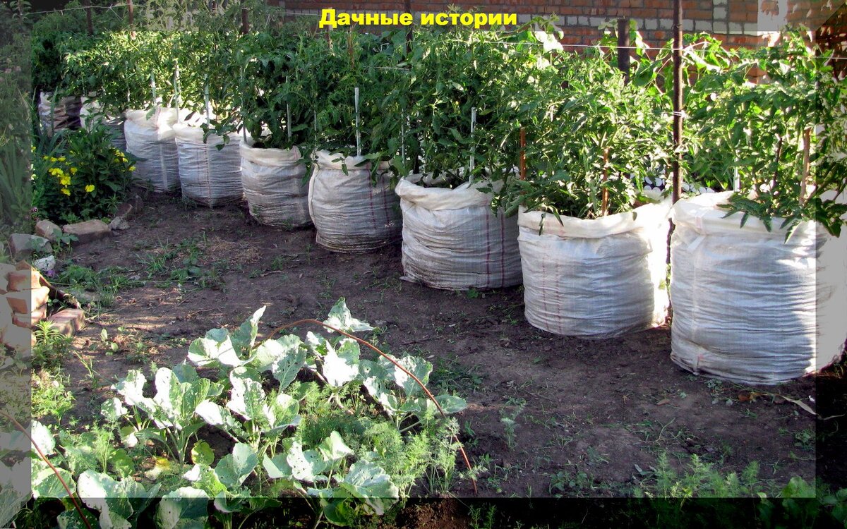 https://vk.com/photo-159774511_457251880