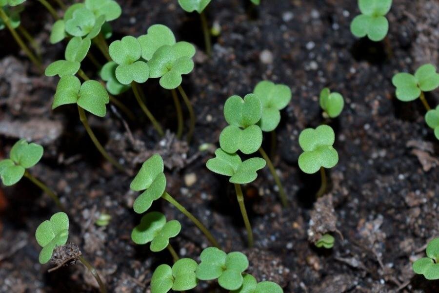 ФОТО из открытых источников