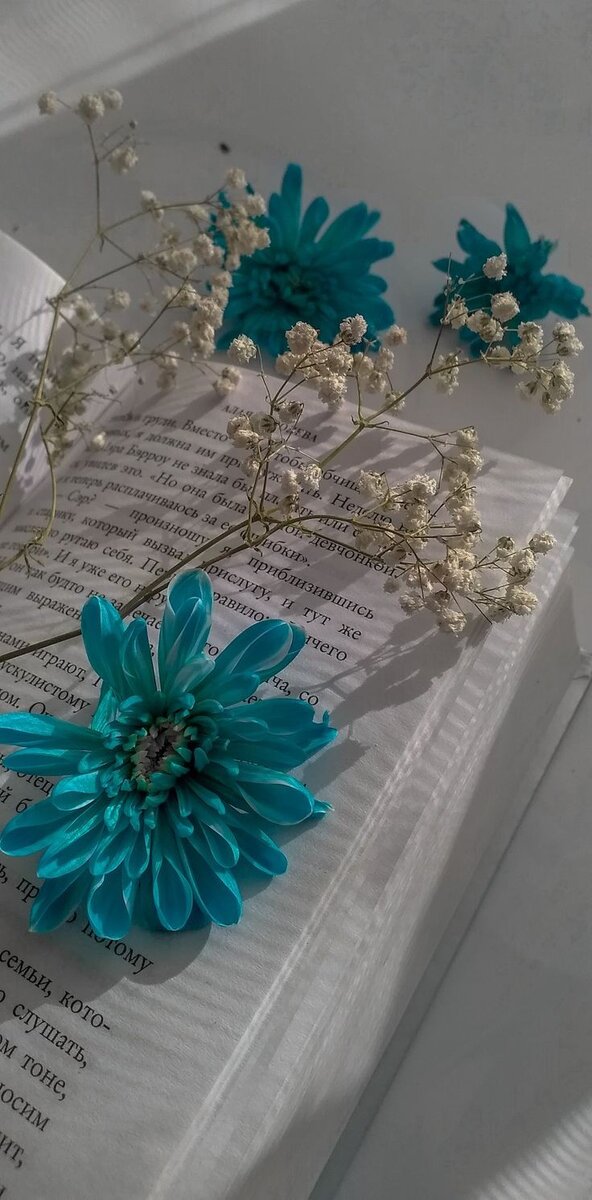 Рандомная картинка из пинтереста