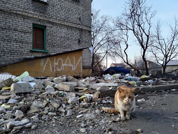 Фото Анны Долгаревой