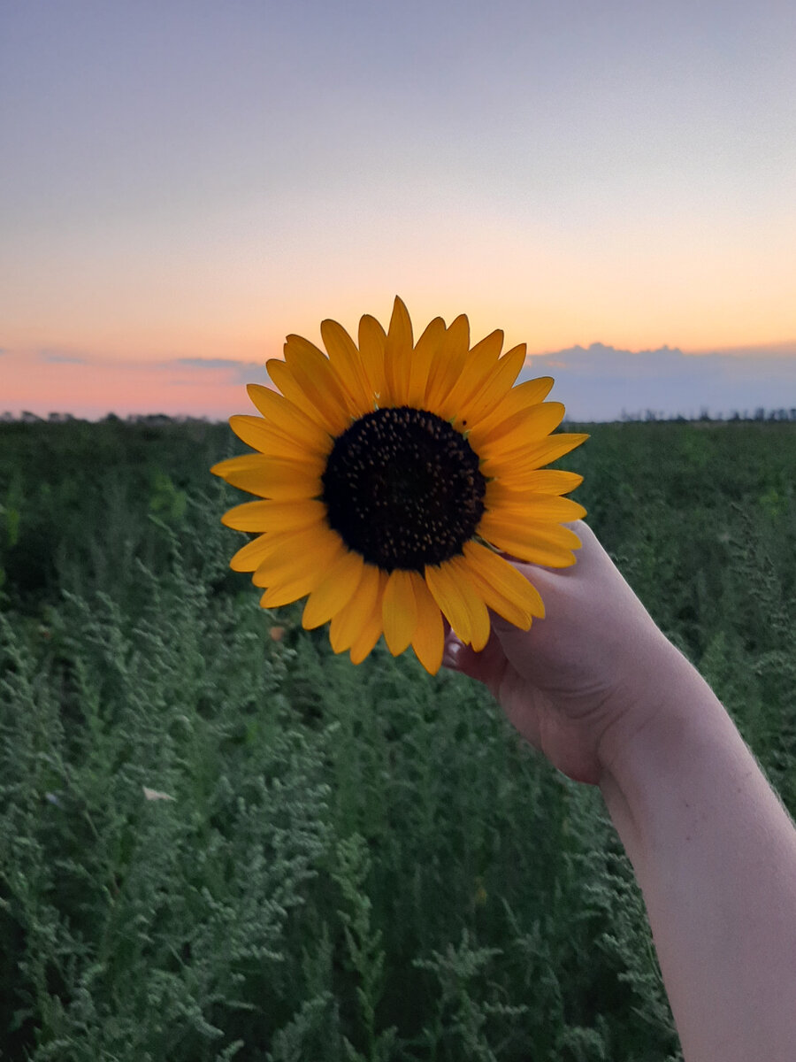 у всех в жизни бывают взлеты и падения...