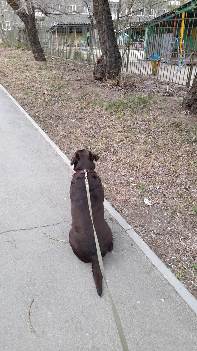 Смотрим на птичек. Фото автора