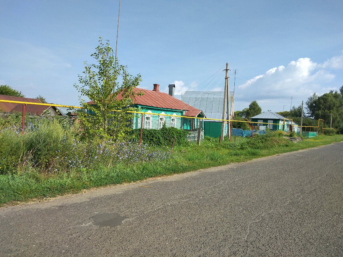 Фото автора. Третий дом (зеленый) - бывший дом Зои Васильевны.