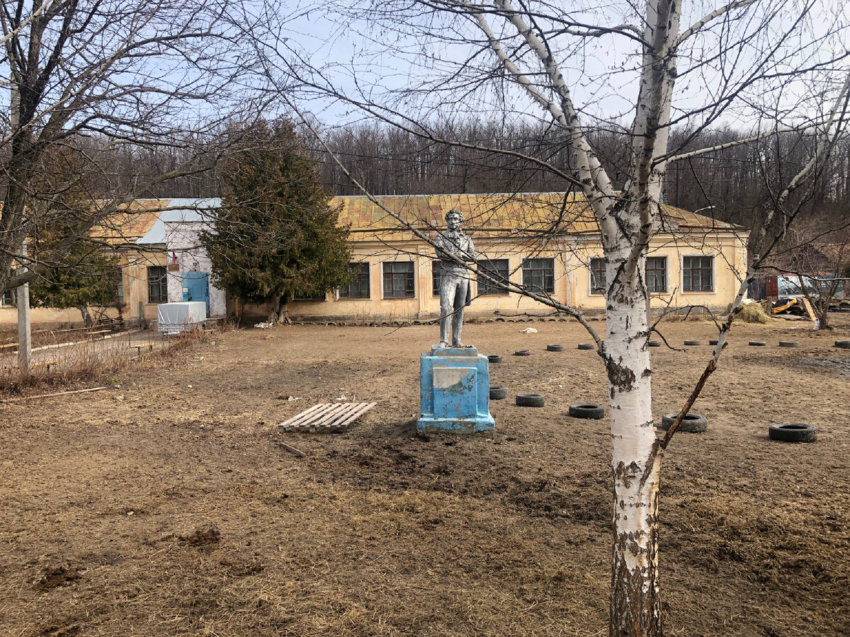 Сзади - лес, справа идет стройка, напротив - Храм всех религий.