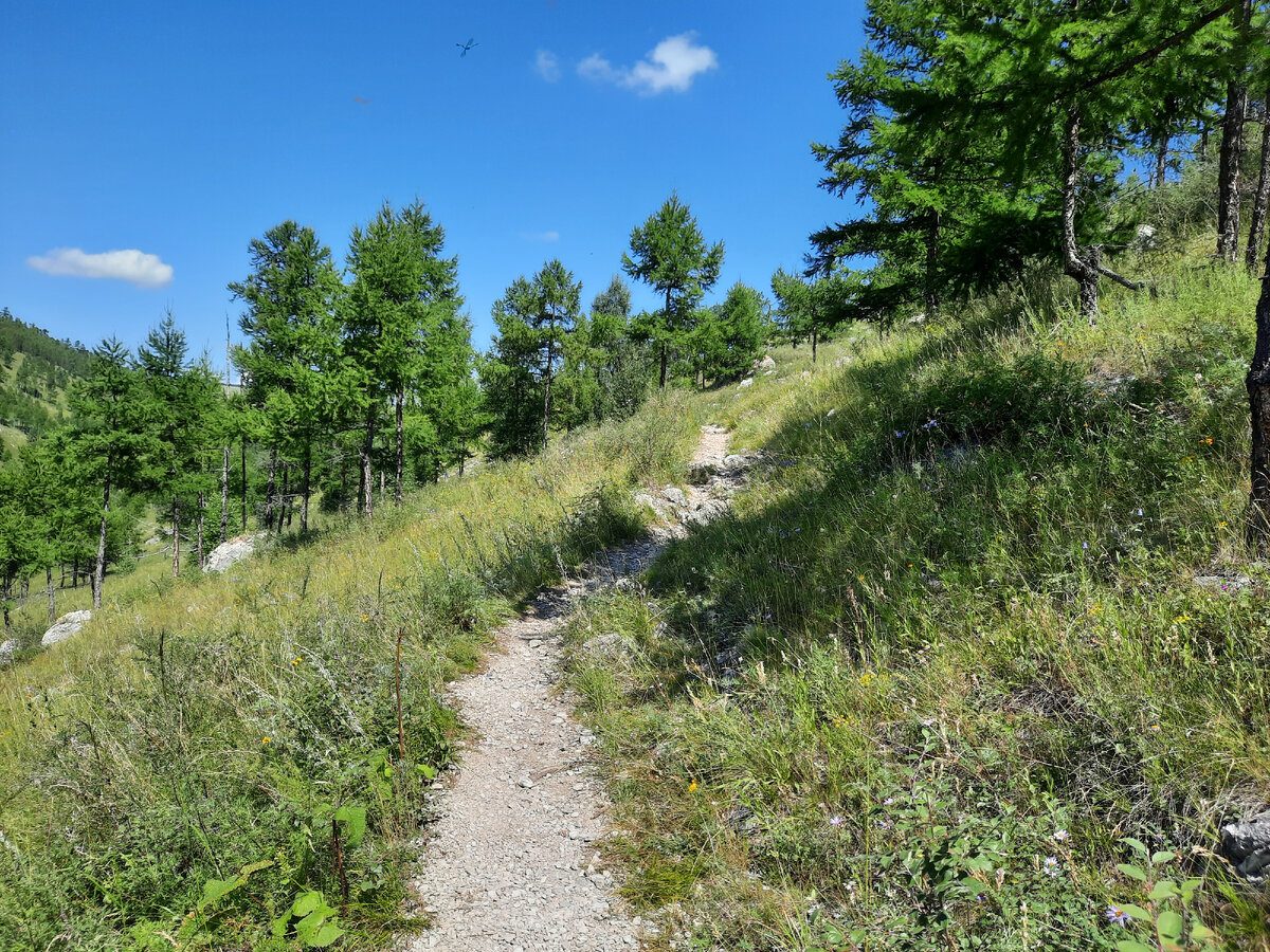 Фото "По дороге в Бородинские пещеры"