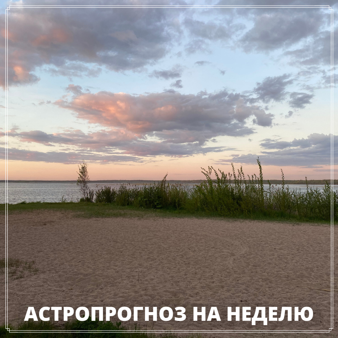 Добавьте описание