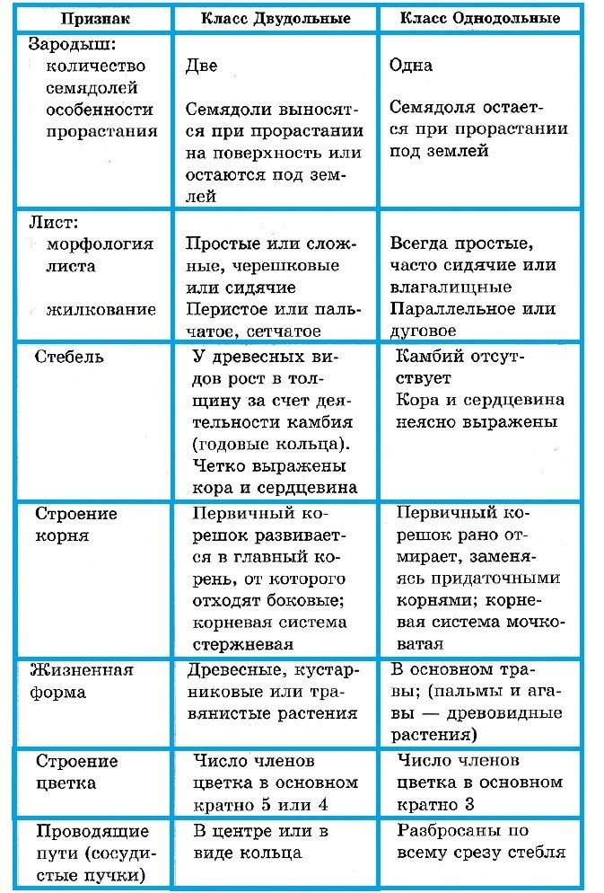 Двудомные растения — Википедия