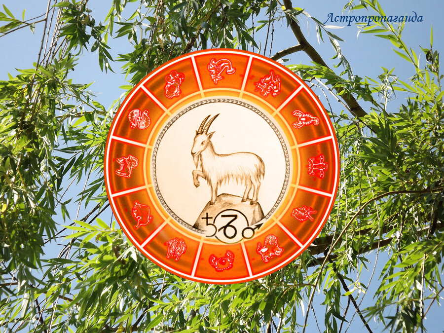 Коллаж Нины Стрелковой. 