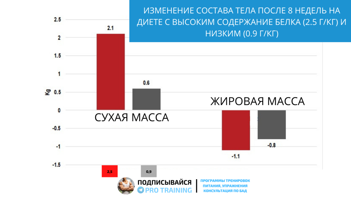 Основы питания для роста мышц и сжигания жира. Когда, что и сколько | Томаш  Игорь | Pro Training | Дзен