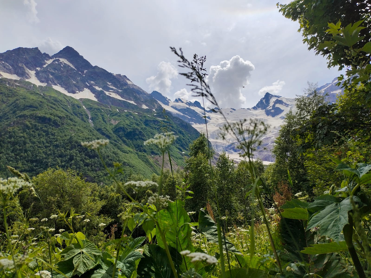 Сады кабардино балкарии фото