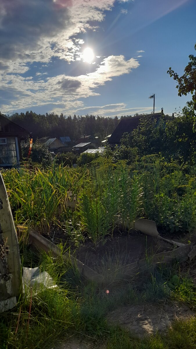 "Доброе утро, мир! Ты прекрасен! Фото автора