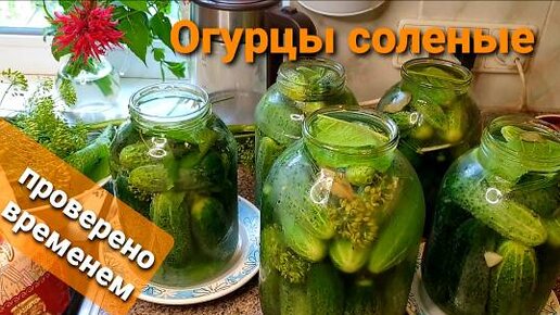 Засолка огурцов на зиму горячим способом: пошаговый рецепт