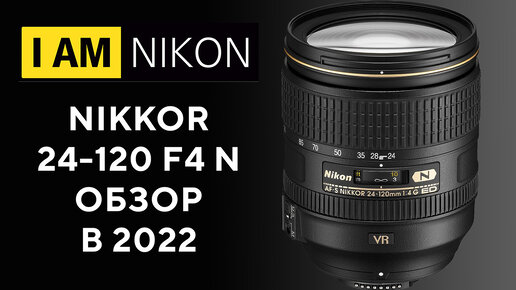 Nikon 24-120 F4 Лучший штатник в 2022 году