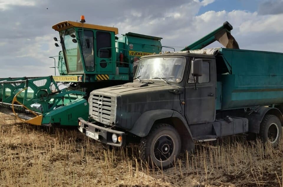 Аграрии Благодарненского района намолотили 11,3 тысячи тонн рапса. Фото ассоциации КФХ по Благодарненскому району