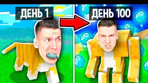 Download Video: 😱 я *ТАЙНО* прожил 100 Дней за КОШКУ в Майнкрафт !