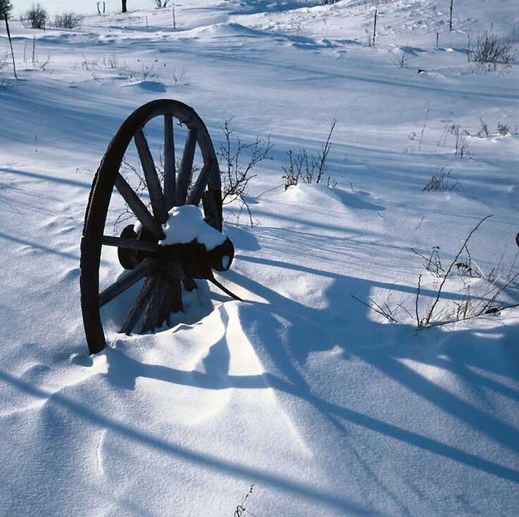 Яндекс картинки