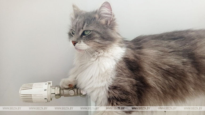    Фото из архива